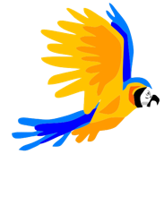 Ometepe Rent A Car